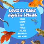 Aquarium or Terrarium Pocket Cave | Minimalist Shelter Cave for Fish, Shrimp, Reptiles, Amphibians, & More!