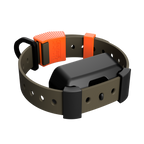 Training Collar Setup