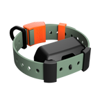 Training Collar Setup