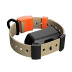 Training Collar Setup