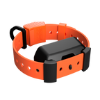 Training Collar Setup