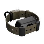 Training Collar Setup