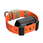 Training Collar Setup