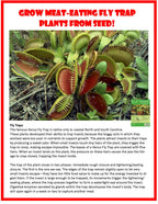 Flytrap Garden Glass Terrarium Seed Starting Kit