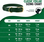 Heavy-Duty Waterproof Dog Collar, Metal Buckle, Odor-Proof