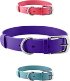 Heavy-Duty Waterproof Dog Collar, Metal Buckle, Odor-Proof
