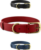 Heavy-Duty Waterproof Dog Collar, Metal Buckle, Odor-Proof