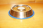 Mr. Peanut's Slow Feed Anti Bloat Dog Bowl with Bonded Silicone Base