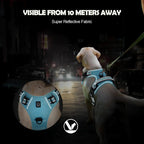 PawsEase No-Pull Soft Harness with Control Handle