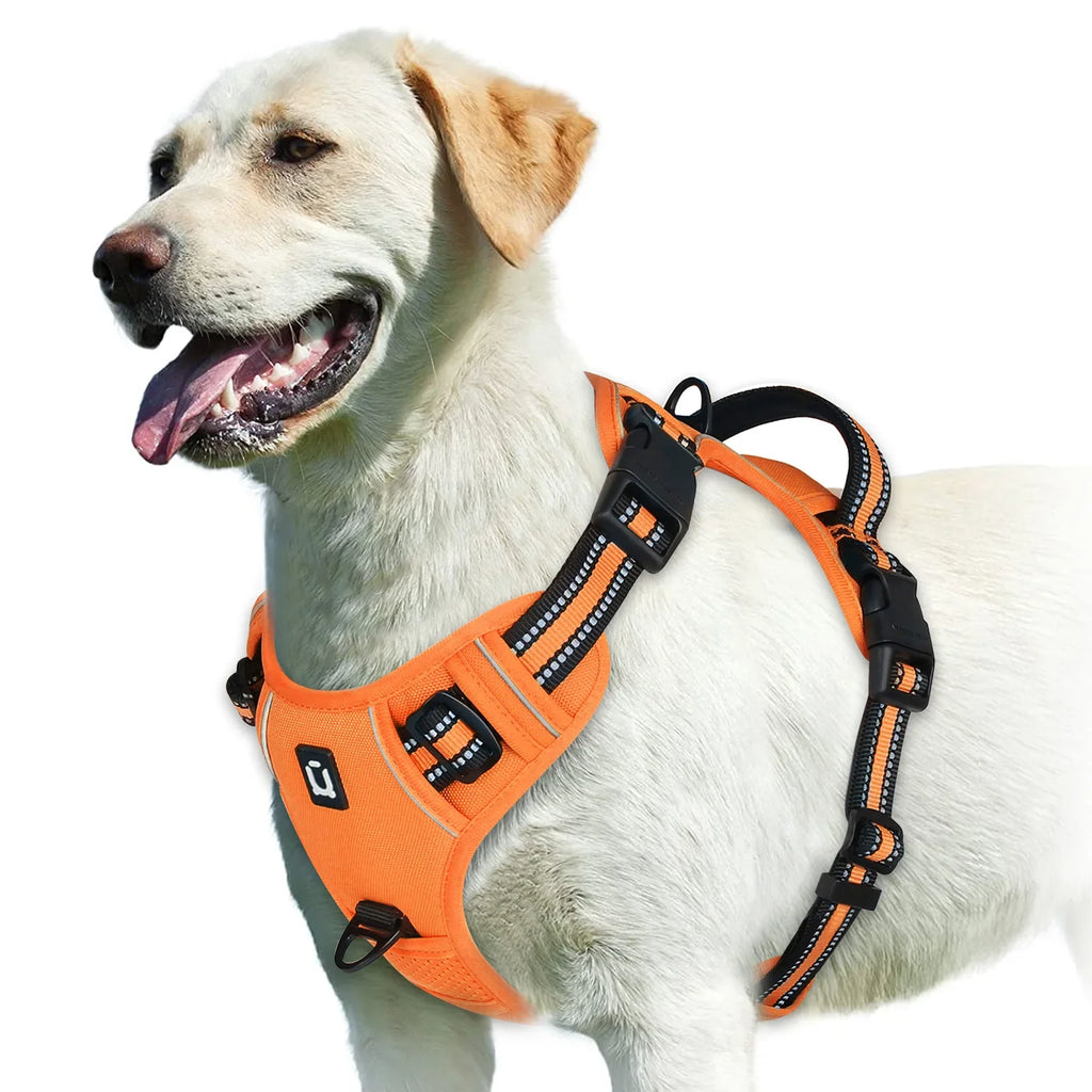 PawsEase No-Pull Soft Harness with Control Handle