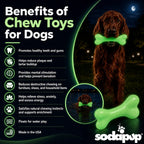 PUP-X Rubber Glow in the Dark Chew Bone Dog Toy - Durable, Floats, Chew Toy for Large Dogs | USA