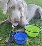 Collapsible Silicone Travel Bowls - 12oz