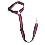 Pet Car Seat Belt & Harness Safety And Style