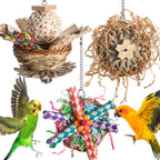 Parrot Bird Toy Supplies Gnawing Molar